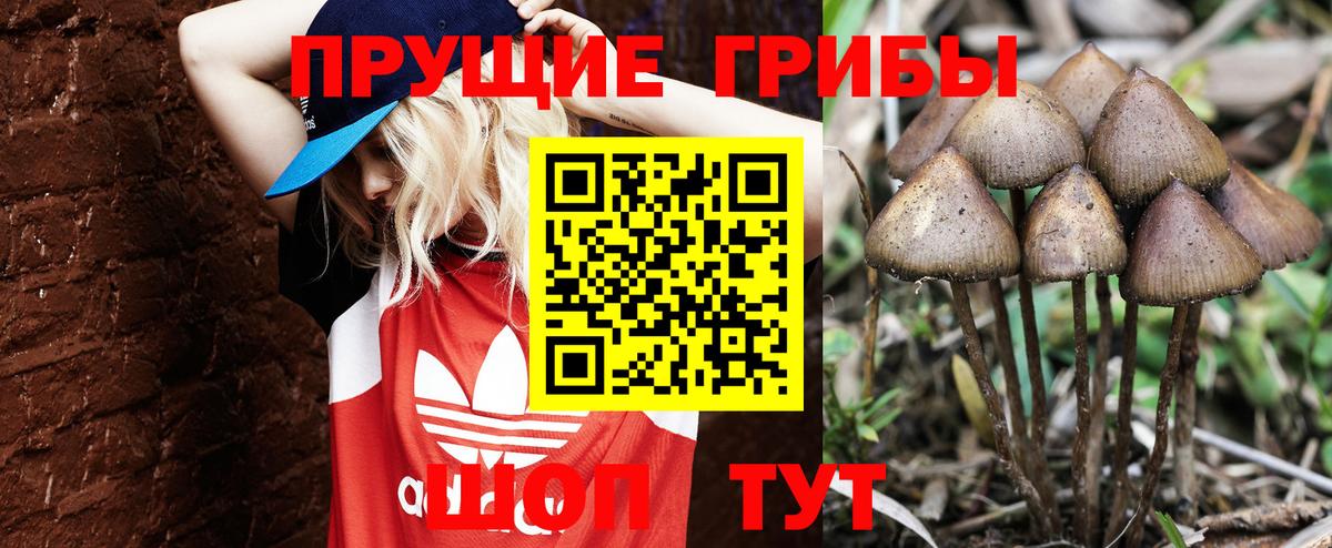 Каменка  Галлюциногенные грибы мухоморы  Вход с VPN 