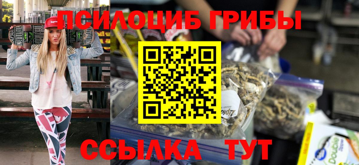 Галлюциногенные грибы Psilocybe Каменка